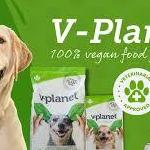 Anything Vegan