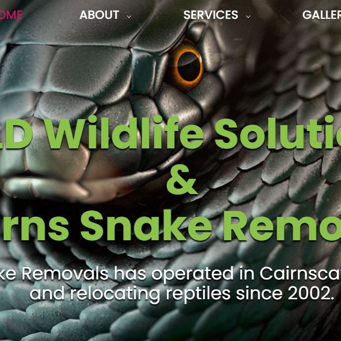 Qldwildlife Solutions