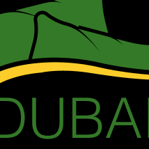 Dubai Cushions